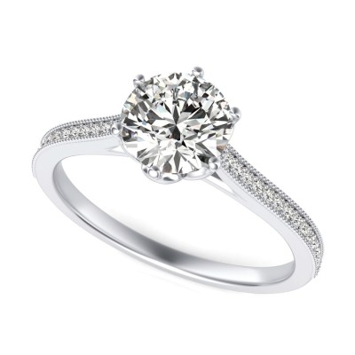 Cathedral Engagement Ring